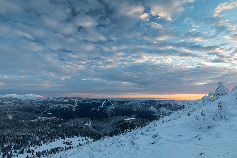 Riesengebirge Schnee Kristalle Baum Bäume