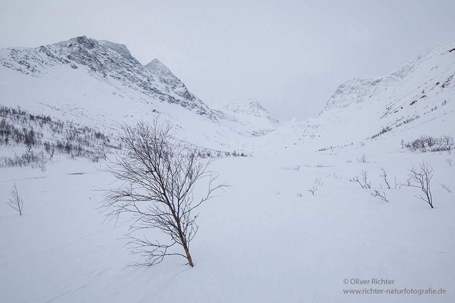 Unterwegs in Nord-Norwegen