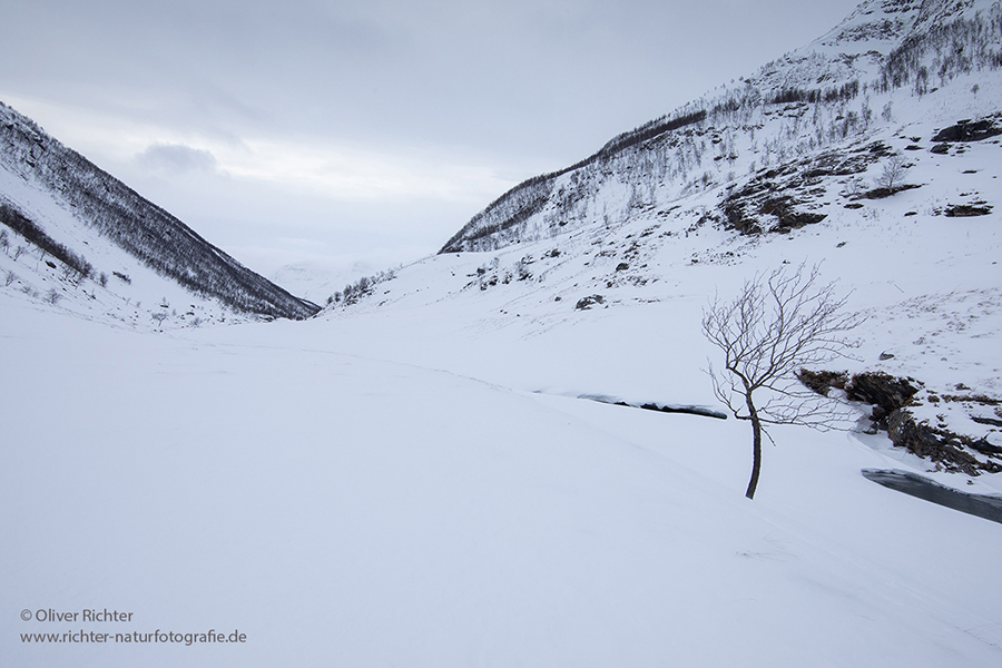 Unterwegs in Nord-Norwegen