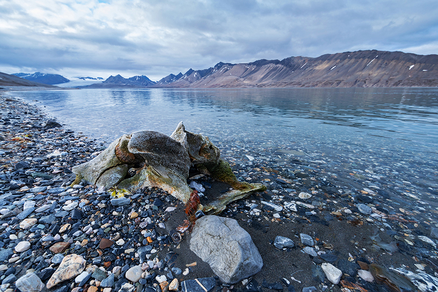 Unterwegs auf Spitzbergen