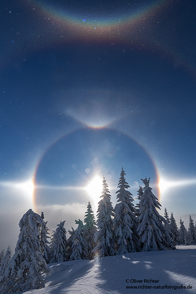 Riesengebirge Schnee Kristalle Baum Bäume