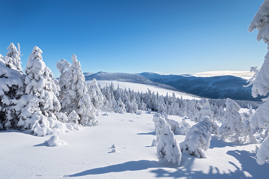 Riesengebirge Schnee Kristalle Baum Bäume