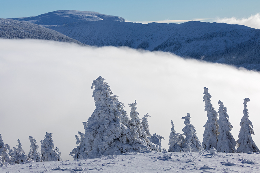 Riesengebirge Schnee Kristalle Baum Bäume