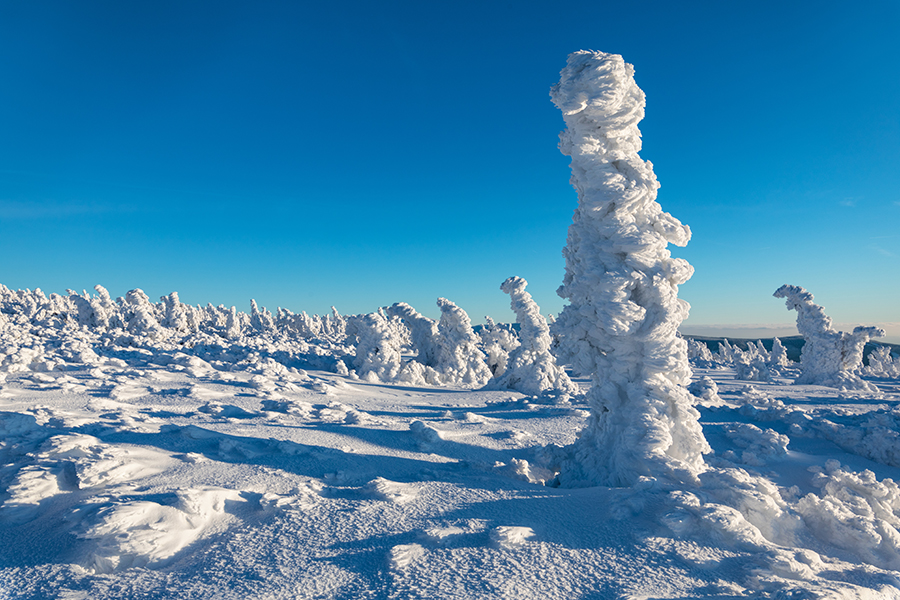 Riesengebirge Schnee Kristalle Baum Bäume