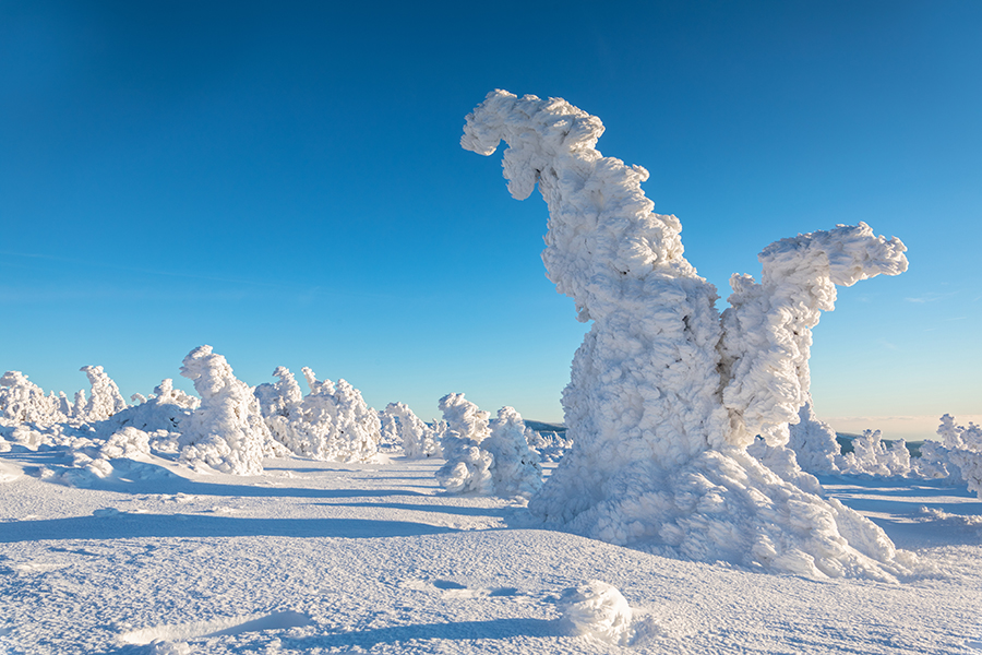 Riesengebirge Schnee Kristalle Baum Bäume