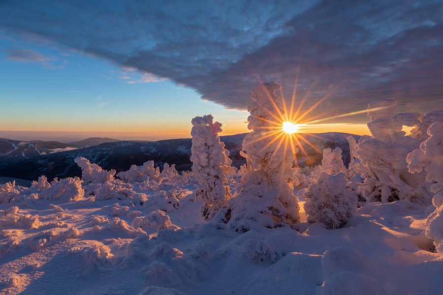 Riesengebirge Schnee Kristalle Baum Bäume
