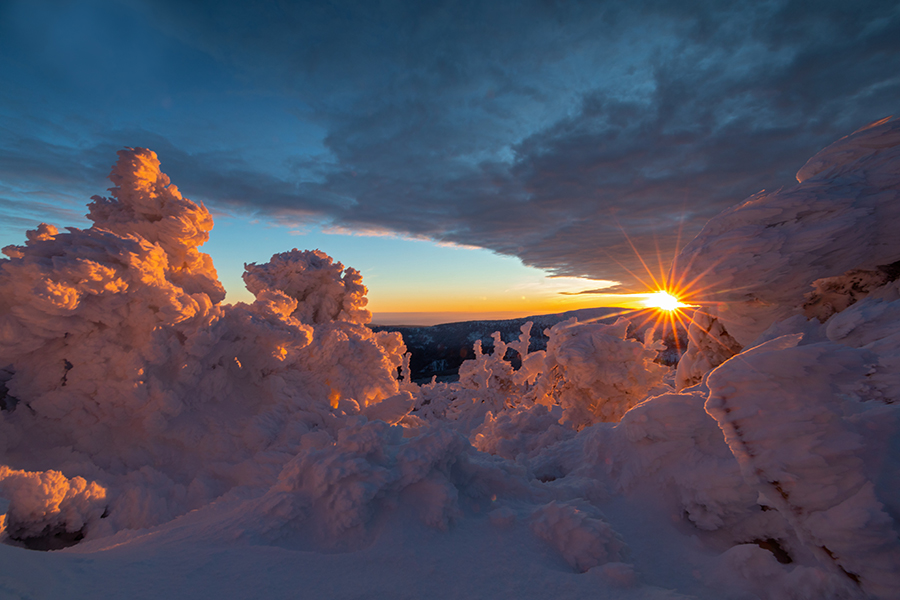 Riesengebirge Schnee Kristalle Baum Bäume