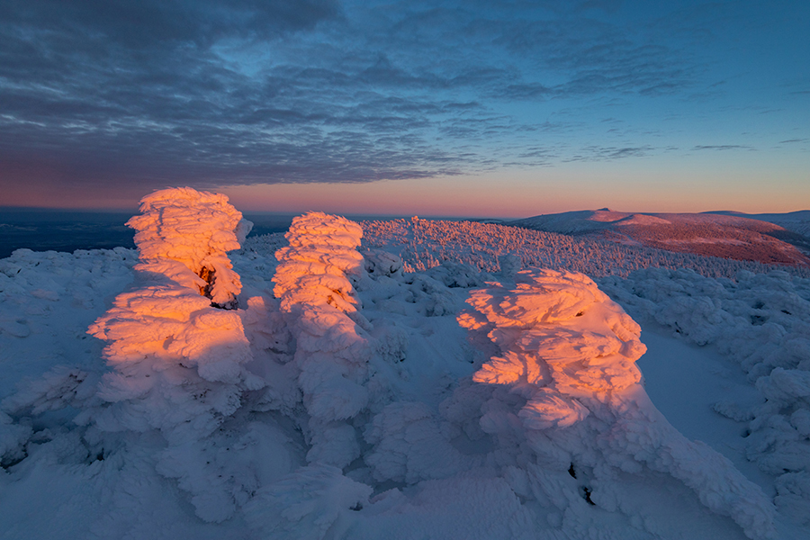 Riesengebirge Schnee Kristalle Baum Bäume