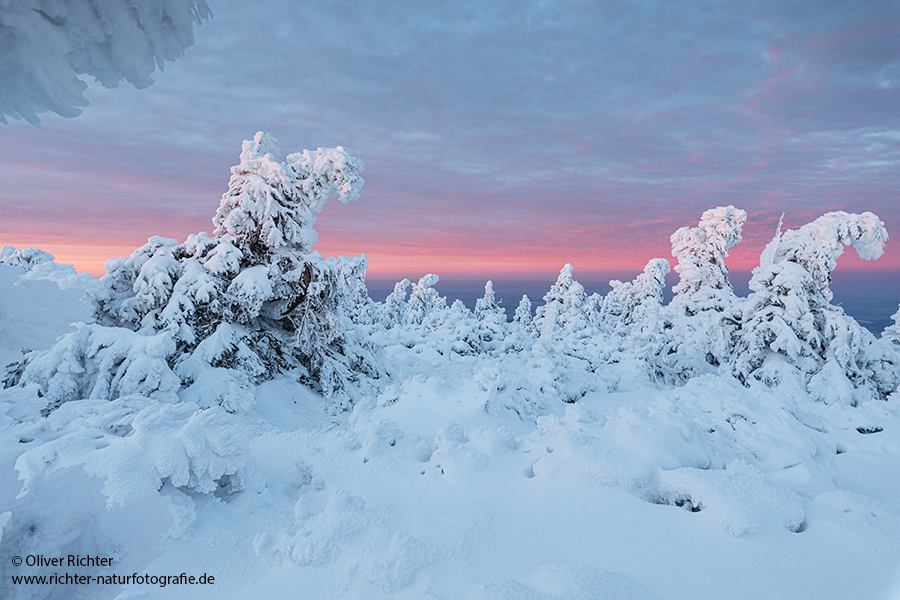 Riesengebirge Schnee Kristalle Baum Bäume