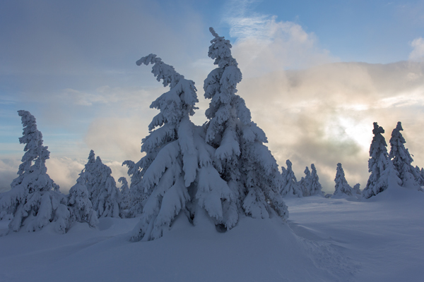 Winter auf dem Brocken