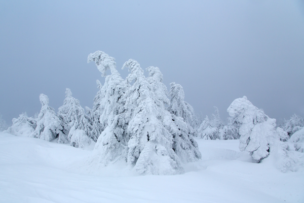 Winter auf dem Brocken