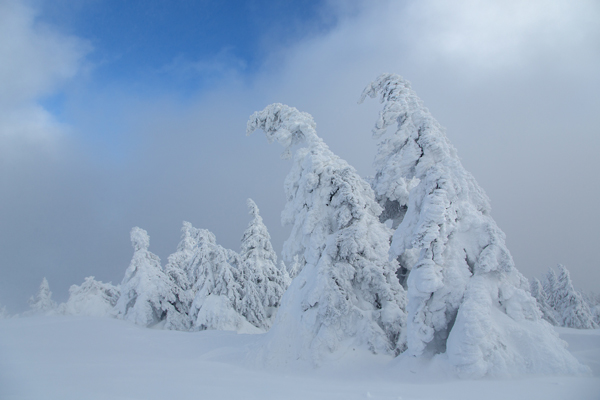Winter auf dem Brocken