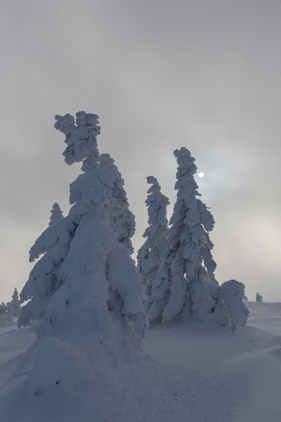 Winter auf dem Brocken