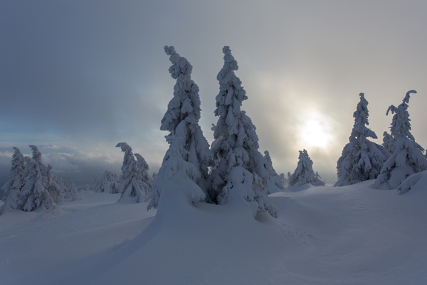 Winter auf dem Brocken