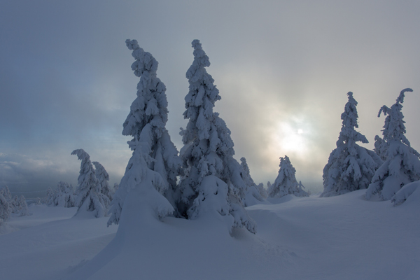 Winter auf dem Brocken