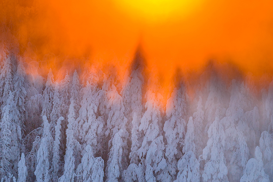Winter in Schwedisch Lappland
