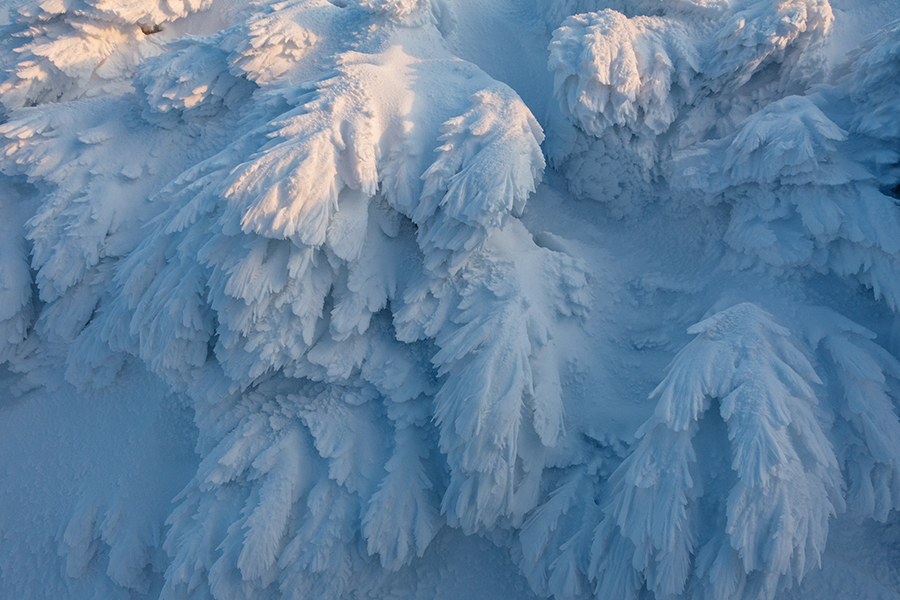 Riesengebirge Schnee Kristalle Baum Bäume