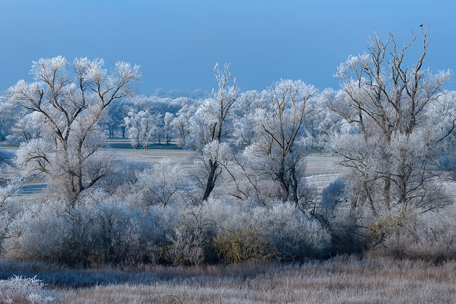 Muldelandschaft im Winter