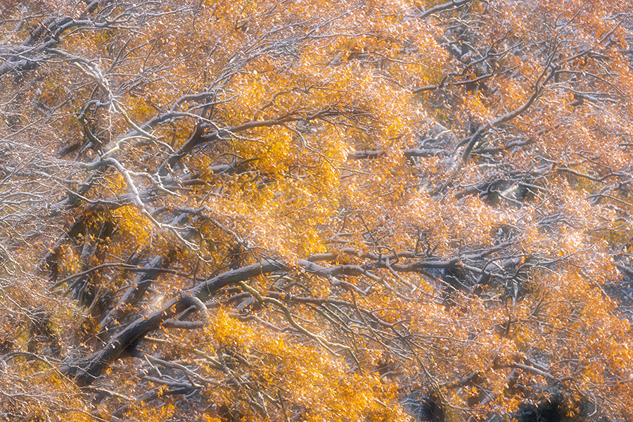 Herbstimpressionen
