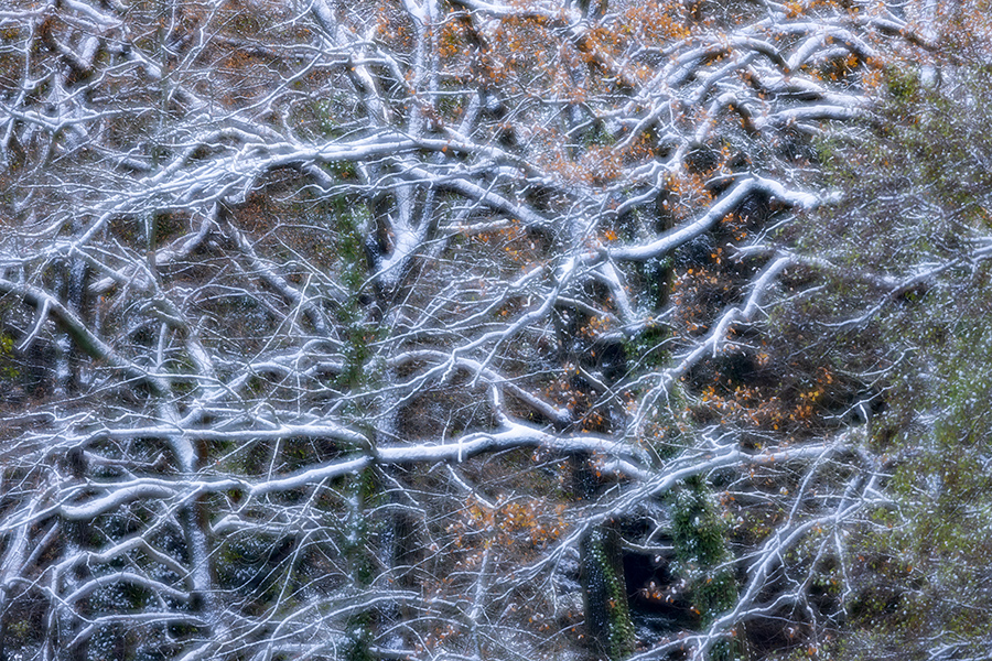 Herbstimpressionen