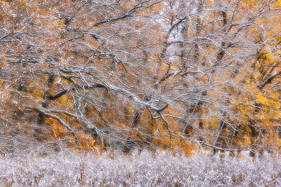 Herbstimpressionen