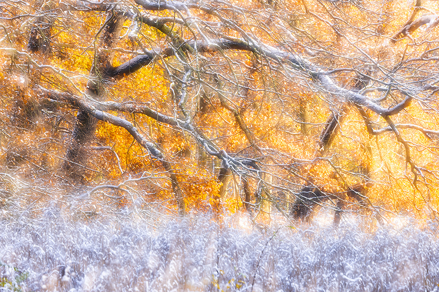 Herbstimpressionen