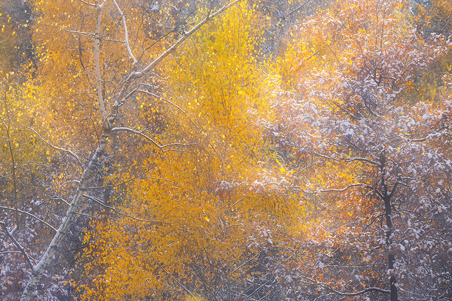 Herbstimpressionen