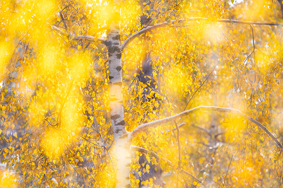 Herbstimpressionen