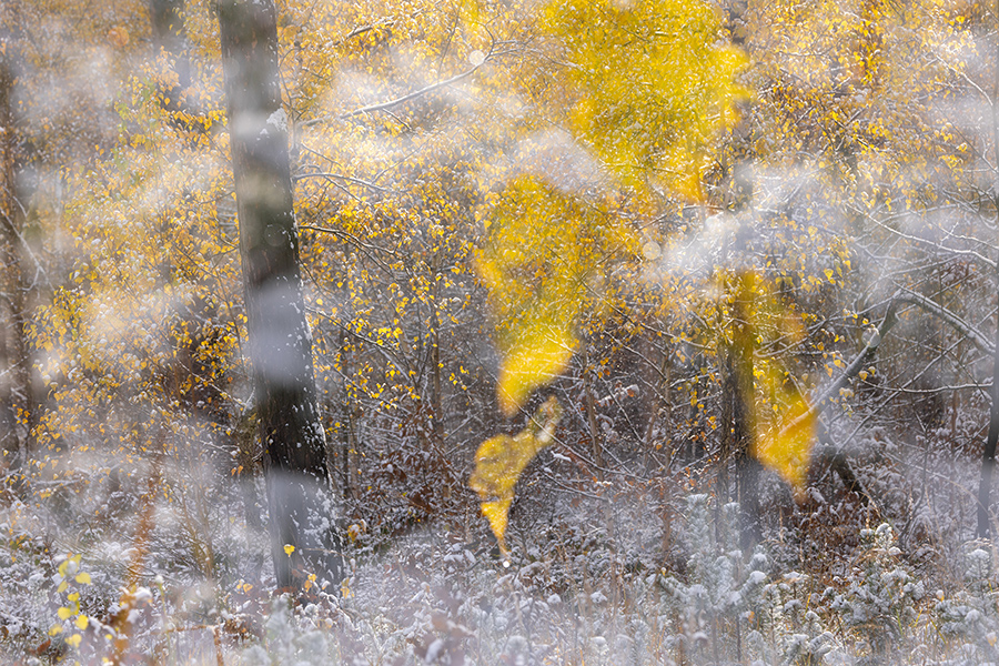 Herbstimpressionen