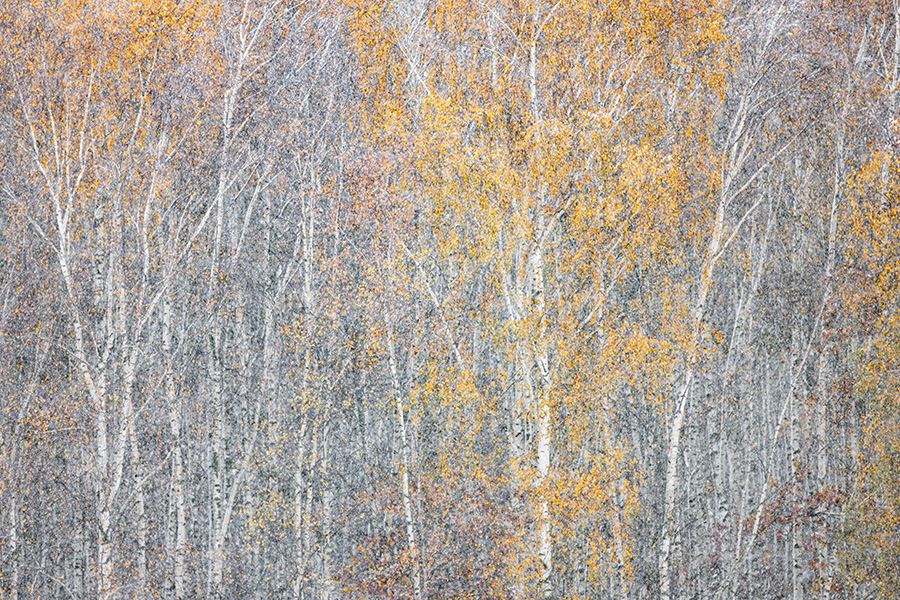Herbstimpressionen