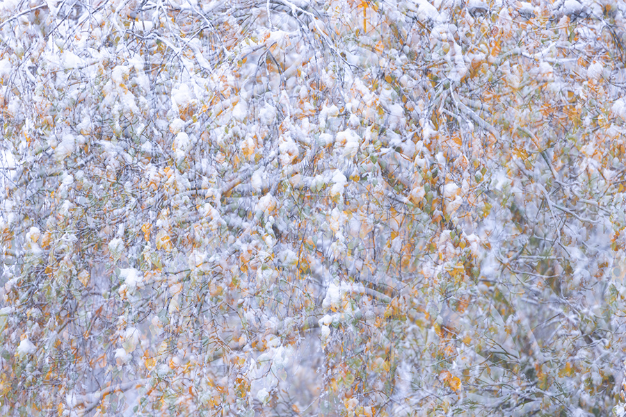 Herbstimpressionen