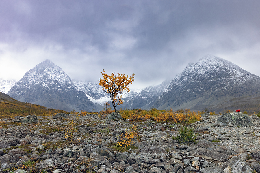Norwegen 2024