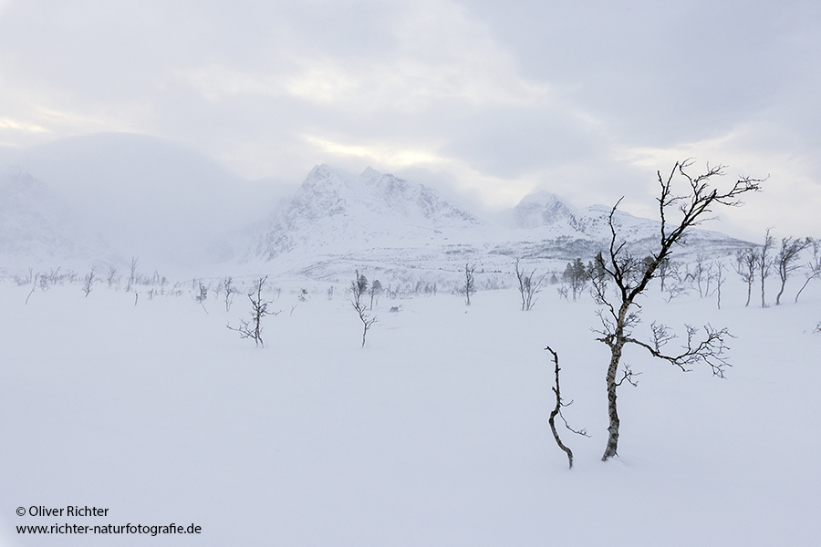 Nord Norwegen 2022