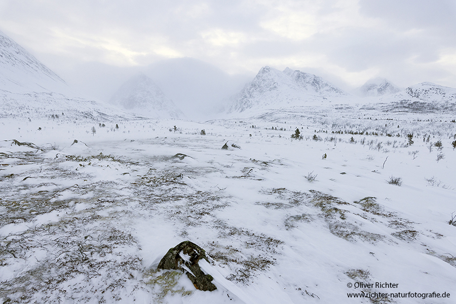 Nord Norwegen 2022