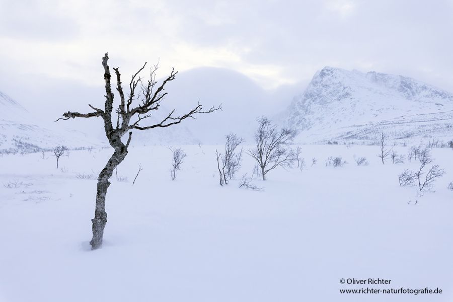 Nord Norwegen 2022