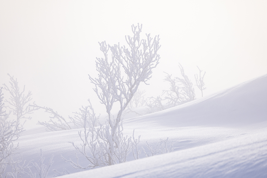 Winter in Schwedisch Lappland