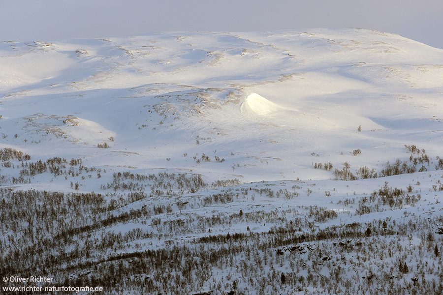 Nord Norwegen 2022