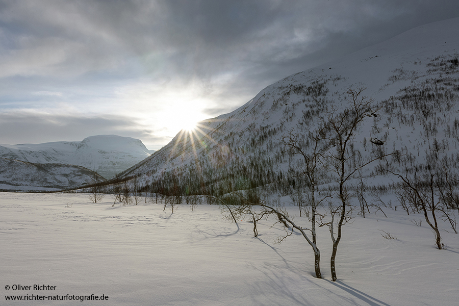 Nord Norwegen 2022