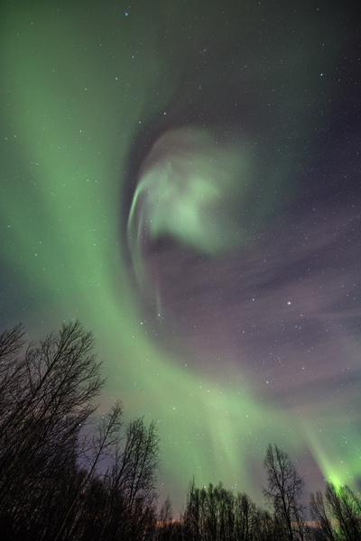 Aurora Borealis - Nordlicht, Polarlicht, Norwegen, Tromsö, Polar light, Northern light, northern lights