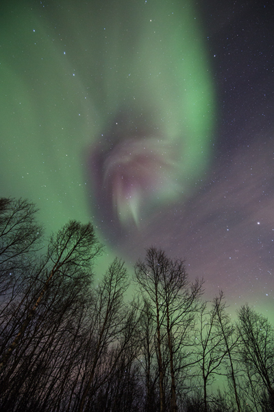 Aurora Borealis - Nordlicht, Polarlicht, Norwegen, Tromsö, Polar light, Northern light, northern lights