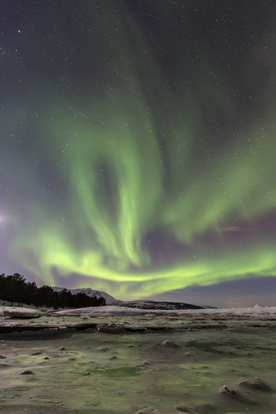 Aurora Borealis - Nordlicht, Polarlicht, Norwegen, Tromsö, Polar light, Northern light, northern lights
