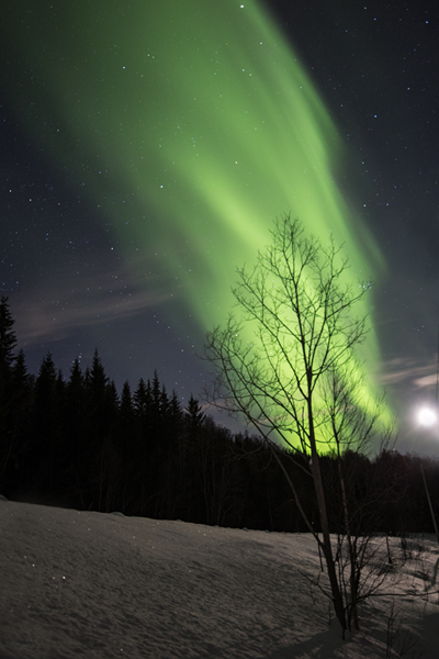 Aurora Borealis - Nordlicht, Polarlicht, Norwegen, Tromsö, Polar light, Northern light, northern lights