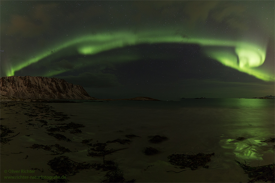 Aurora Borealis - Nordlicht, Polarlicht, Norwegen, Tromsö, Polar light, Northern light, northern lights, Lofoten