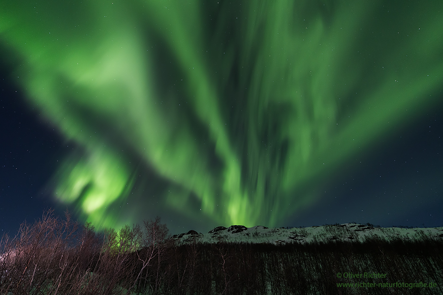 Aurora Borealis - Nordlicht, Polarlicht, Norwegen, Tromsö, Polar light, Northern light, northern lights, Lofoten