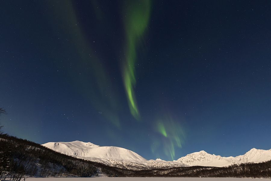 Unterwegs in den Lyngenalpen, Aurora Borealis - Nordlicht bei Vollmond