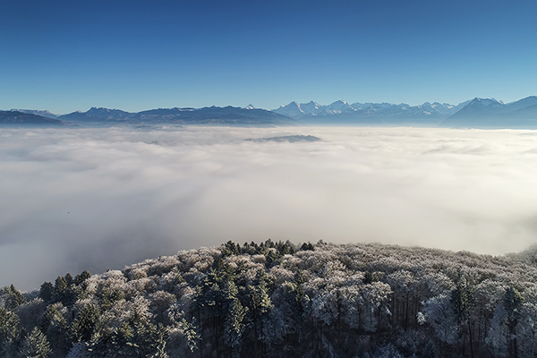 Der Thunersee unter Wolken, Kanton Bern, Berner Oberland