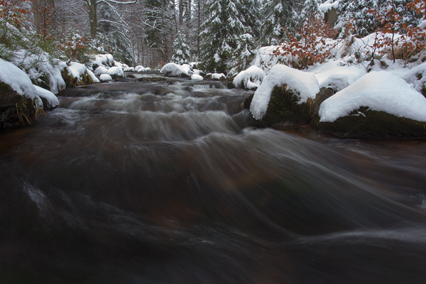 An der Warmen Boden im Harz