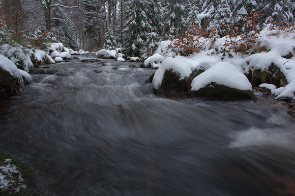 An der Warmen Boden im Harz
