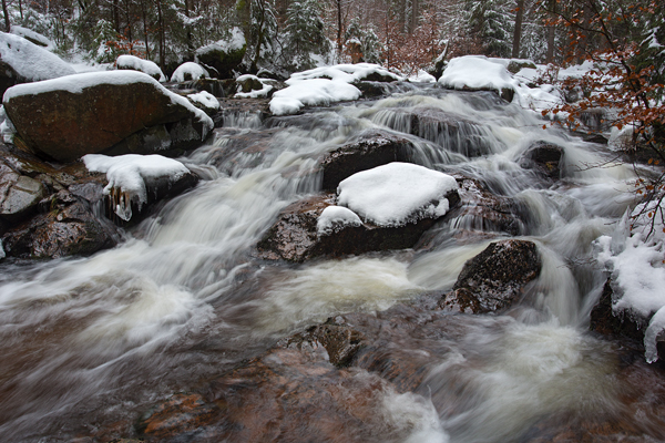 An der Warmen Boden im Harz