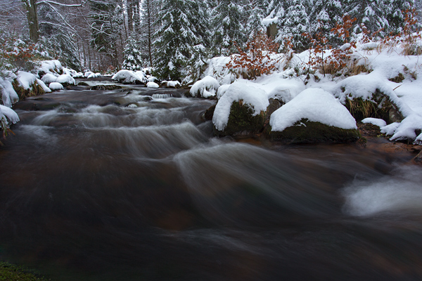 An der Warmen Boden im Harz